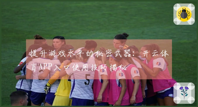提升游戏水平的秘密武器：开云体育APP入口使用技巧揭秘