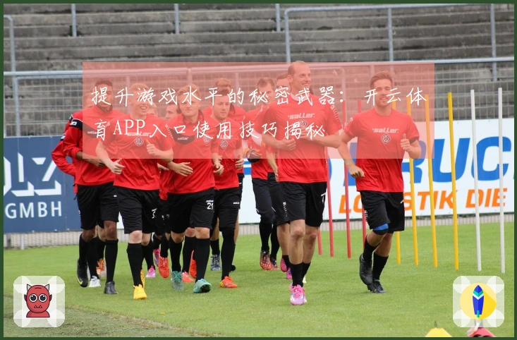 提升游戏水平的秘密武器：开云体育APP入口使用技巧揭秘
