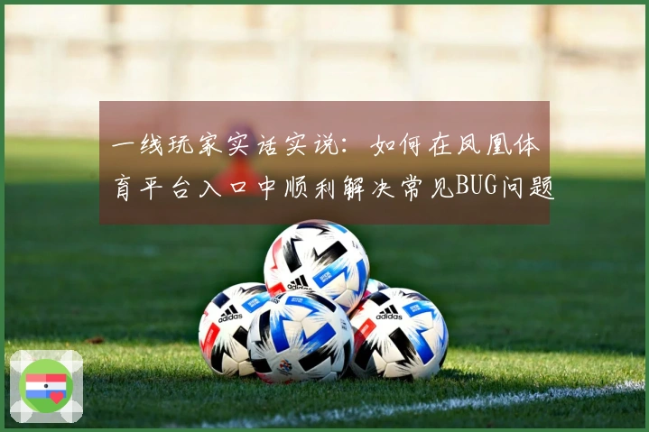 一线玩家实话实说：如何在凤凰体育平台入口中顺利解决常见BUG问题